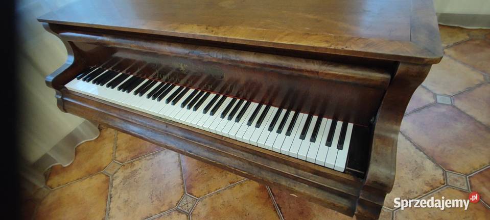 Fortepian Carl Kutschera Saczyn
