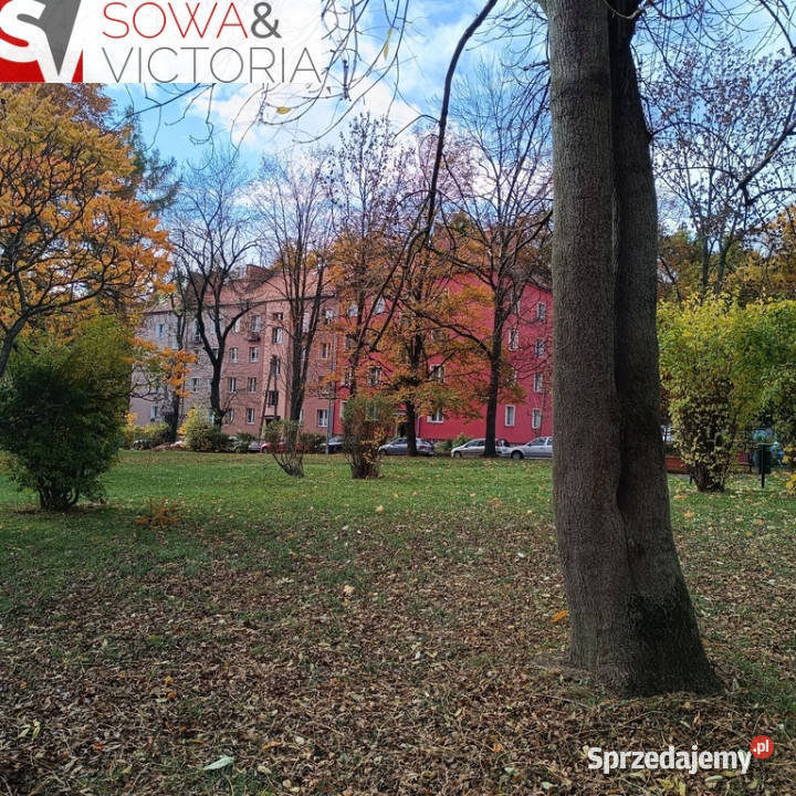 Mieszkanie wśród zieleni Wynajem Wałbrzych sprzedam
