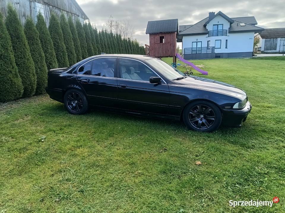 BMW E39 30D 204 chip przelot sedan manual Izbica