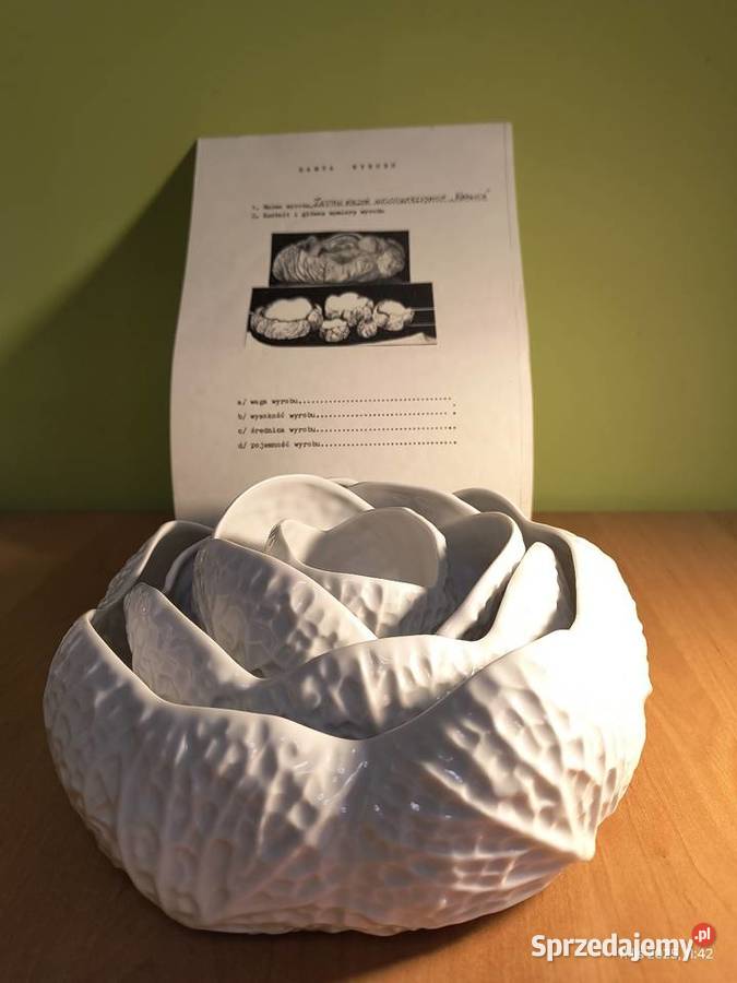 Zestaw naczyń wielofunkcyjnych kapusta dolnośląskie Wałbrzych