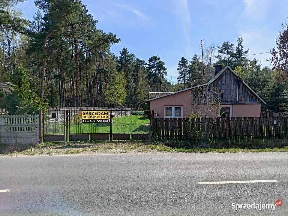 Siedlisko z lasem mazowieckie Wola Polska