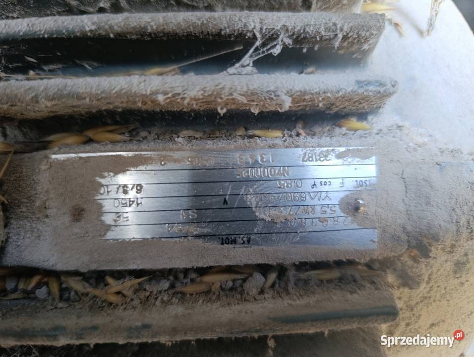 gniotownik mazowieckie Rawica Nowa