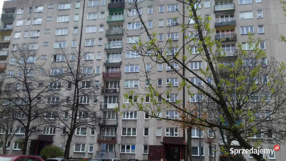 BEZ POŚREDNIKÓW Sprzedam mieszkanie 4415m 2 3 piętra i więcej Sosnowiec