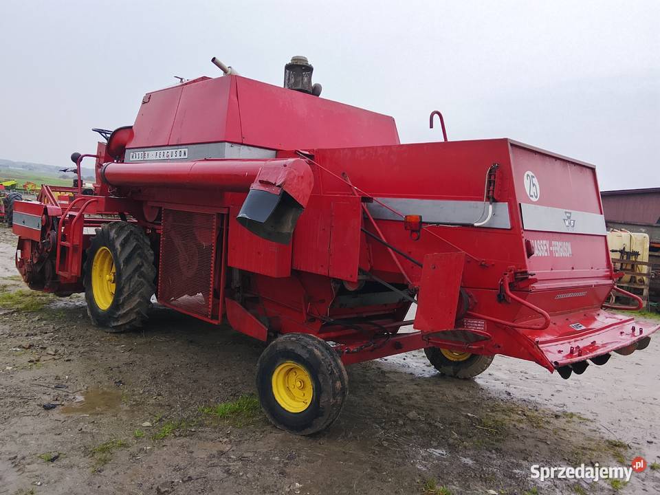 Kombajn zbożowy Massey ferguson 487 z Zbożowe