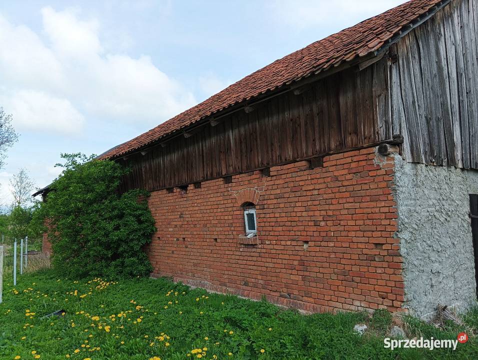 Dom jednorodzinny siedlisko GreenVello stadnina asfalt Bartoszyce