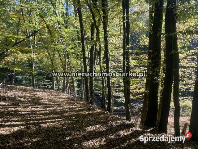 Grunt 15327m2 Syrynia