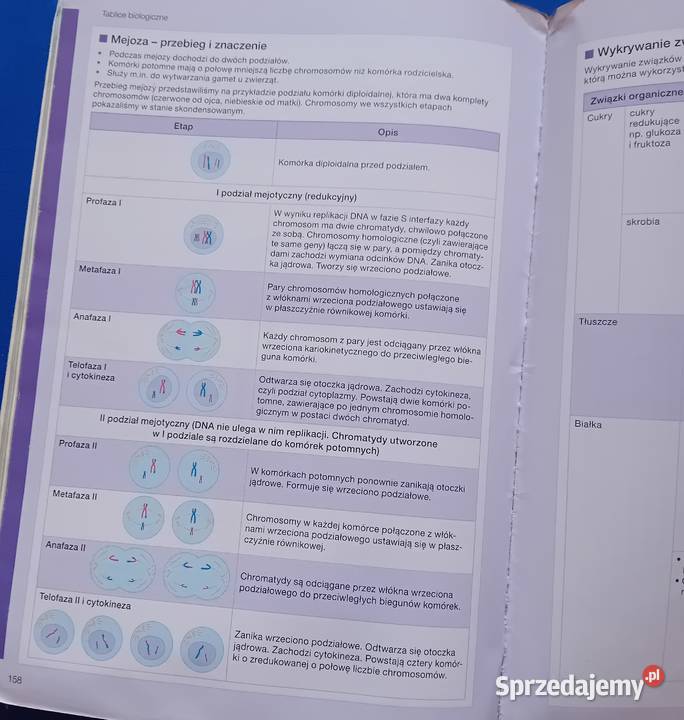 Biologia na czasie1 Zakr podstawowy Liceum i Koźminek