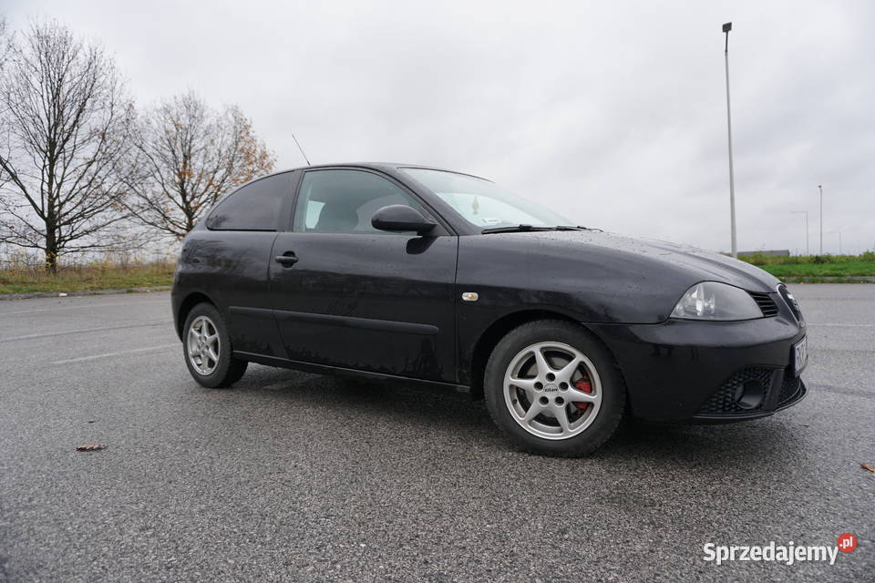Seat Ibiza 14 2006 benzyna