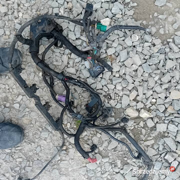 Wiązka silnika Ford Fiesta mk7 podkarpackie Krosno sprzedam