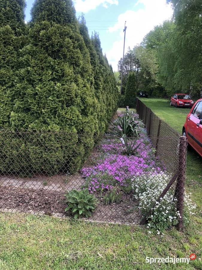 BEZPOŚREDNIO SPRZEDAM DZIAŁKĘ W ROD SŁOWIK Grunty i działki Słowik sprzedam