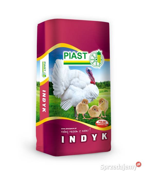 Pasza Indyk 1 Piast 25 Pierwszy Etap Odchowu Liszki
