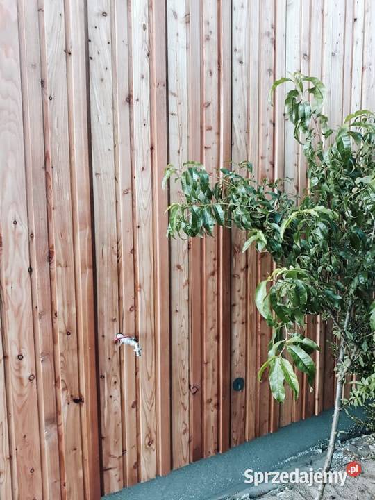 Modrzew 3D elewacja drewniana drewno strugane Biskupice