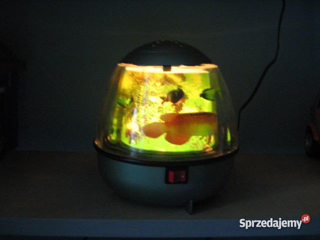 Lampka Akwarium Katowice