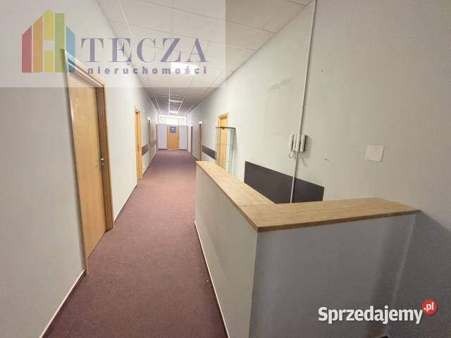 wynajmu lokalu 2354m2 Warszawa Świętokrzyska handlowo-usługowy mazowieckie