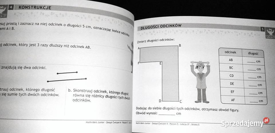 MathRider Poziom 5 Zeszyt zadań domowych 4 Anita Chełm