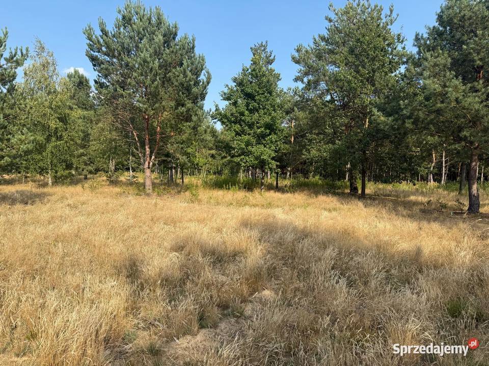 Działka z dostępem do jeziora Sumino mazowieckie Gorzewo