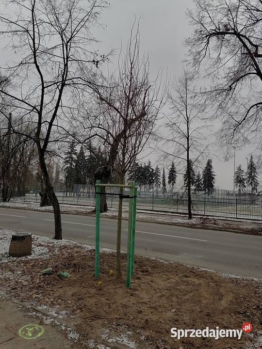 pielęgnacja ogrodów porządkowanie czyszczenie Pabianice