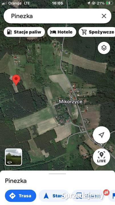 Działka 9700 m2 siedliskowa budowlana MPZP siedliskowa Mikorzyce