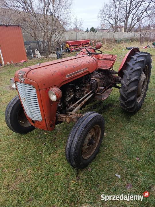 Massey Ferguson 35 benzyna Koszalin