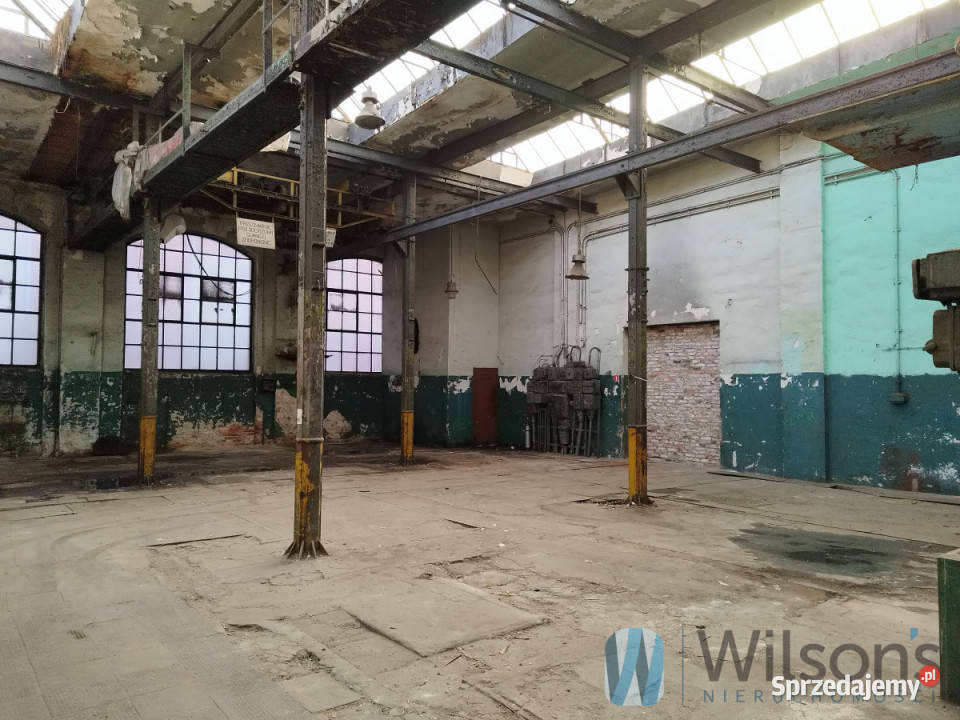 Ogłoszenie lokal Wrocław 825m2