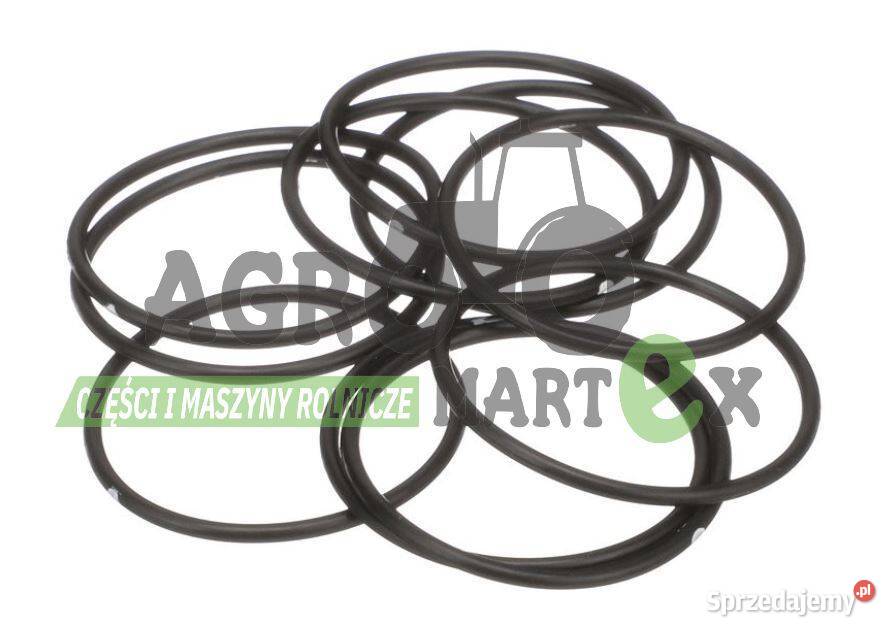 579359 14454380 2385026 14454380 129984 ORING Wichrów