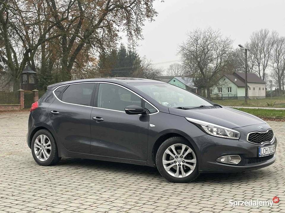 Kia Ceed 2 welurowa tapicerka Cee'd Olchowiec