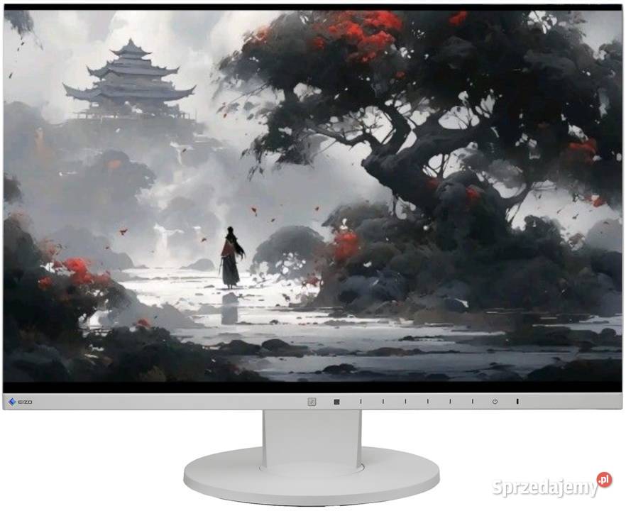 Monitor Eizo Flexscan Ev2450 24 Ips 1920X1080 Pyskowice