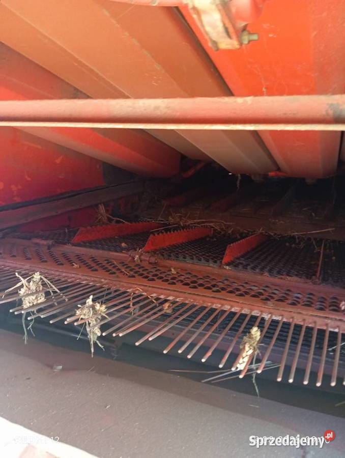 Sprzedam Bizon Rekord