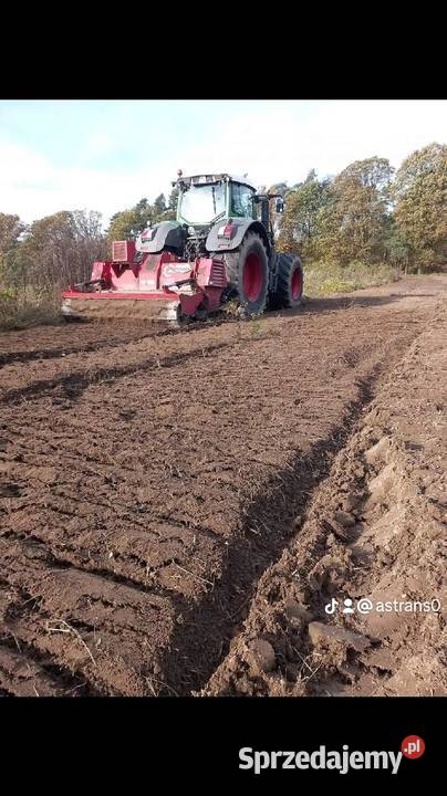 Czyszczenie działek Wycinka drzew Mulczowanie śląskie Pszczyna