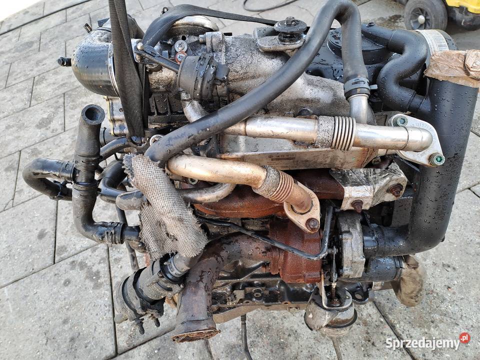 Volkswagen Sharan 19 TDi 115 silnik kompletny Jastrzębie-Zdrój