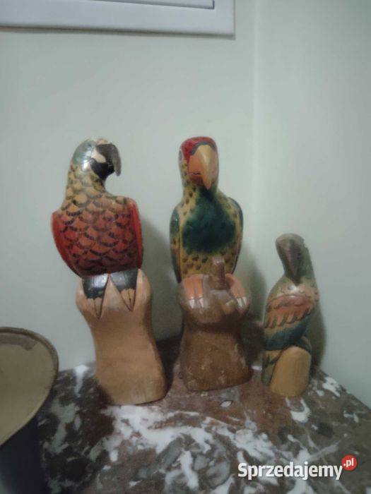 Kolorowe papugi balsa Poznań