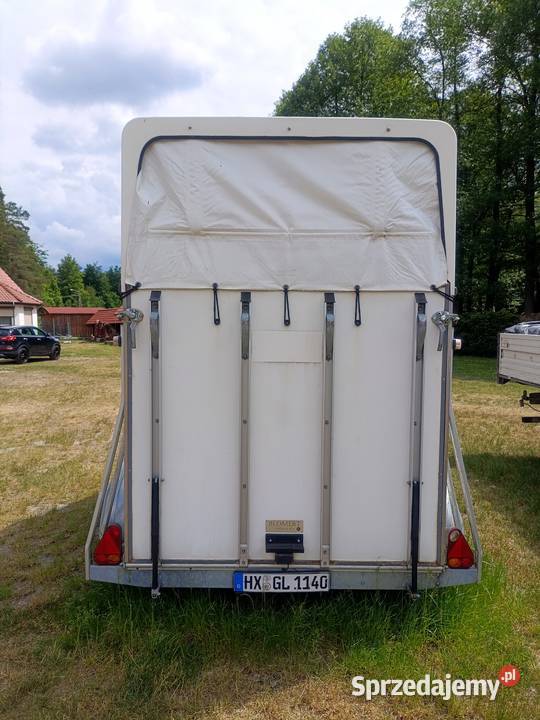Dwuosiowa przyczepa koni Blomert 2012r Stan Pelnik