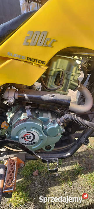 Bashan 200 zarejestrowany Bashan pomorskie Szlachta