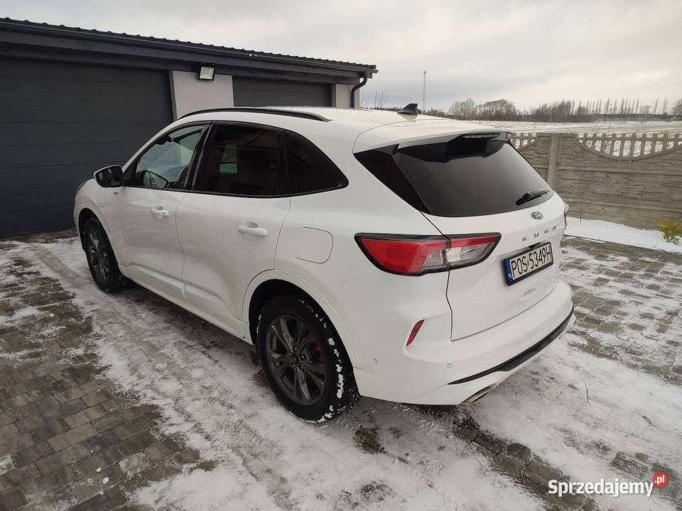 Ford Kuga MK3 STLine PHEV 2021 Automat Bogate 65000km Samochody osobowe wielkopolskie Ostrów Wielkopolski
