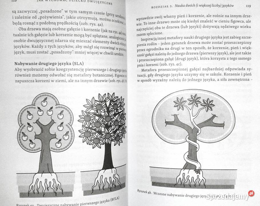 wychować dziecko dwujęzyczne Barbara miękka Chełm