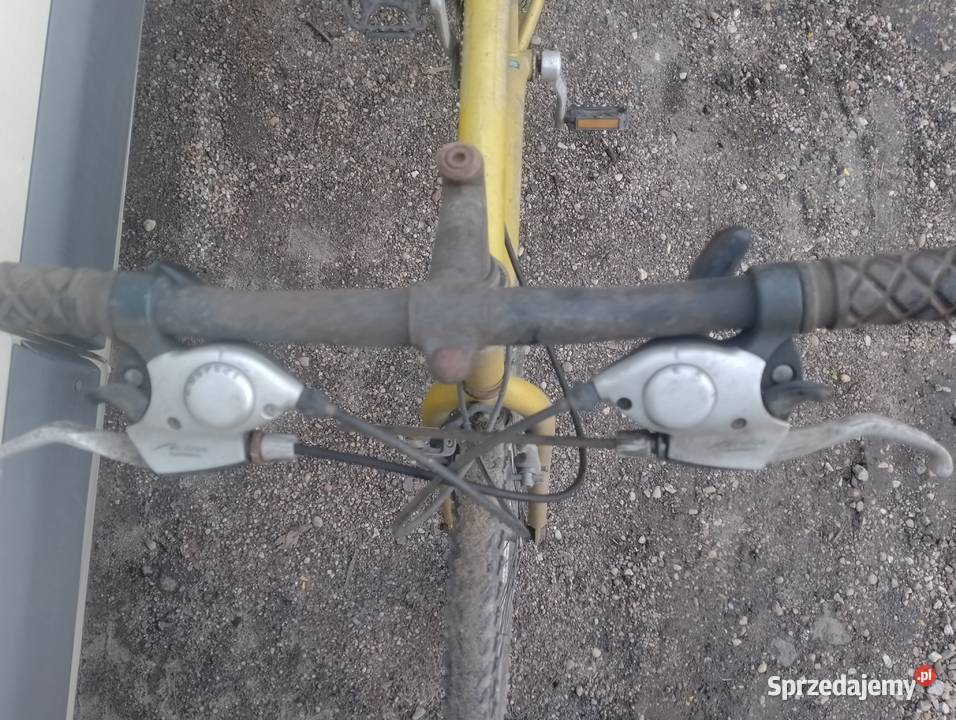 Rower Górski Trakingowy Miejski Pabianice