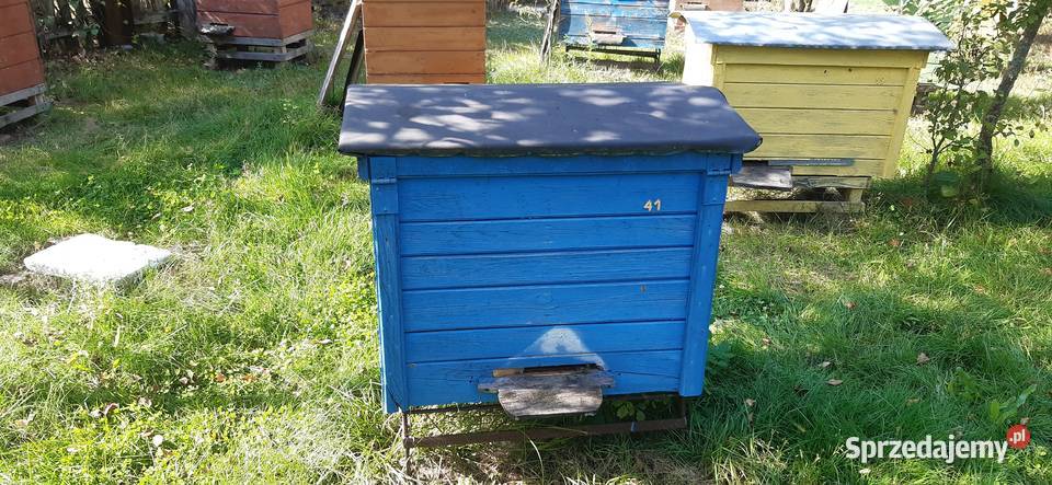 Ule rodziny pszczele