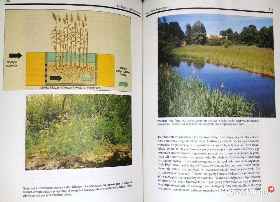 Ekologiawybór przyszłości Anna Kalinowska miękka Chełm