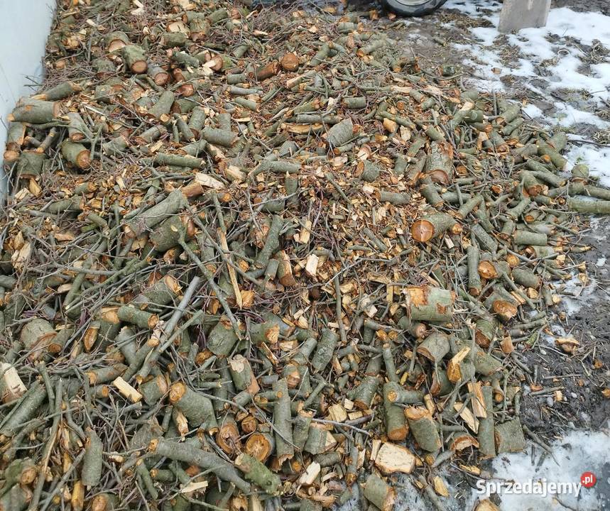 Łupanie drewna rebakowanie wycinka Pruska Łąka