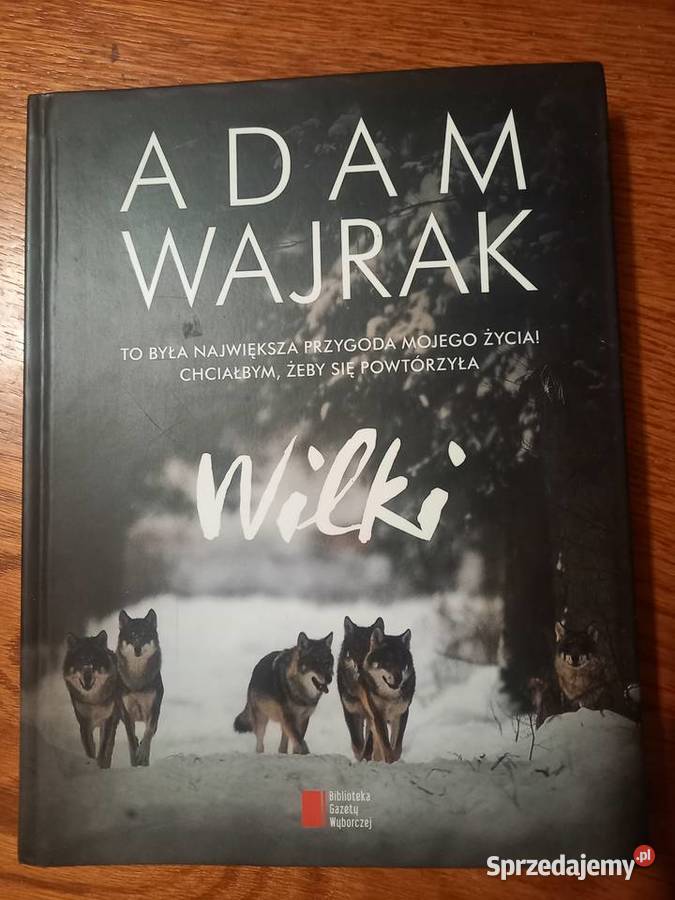 Wilki Adam Wajrak Olsztyn