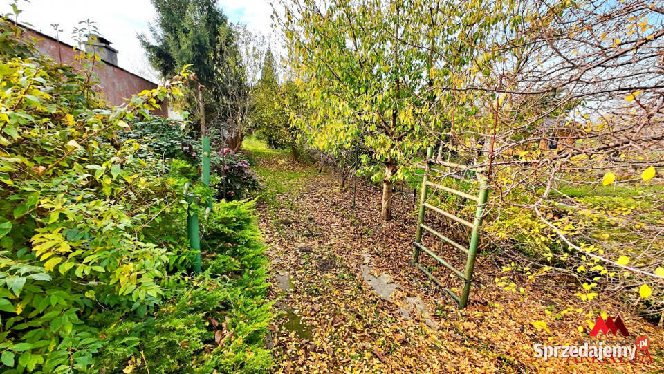 sprzedaży gruntu Włocławek 4513m2 kujawsko-pomorskie sprzedam