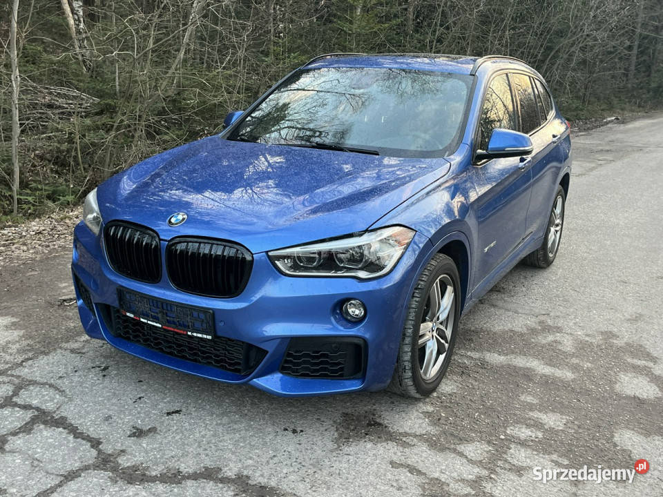 BMW X1 BMW X1 Mpakiet II F48 2015 Zagnańsk sprzedam