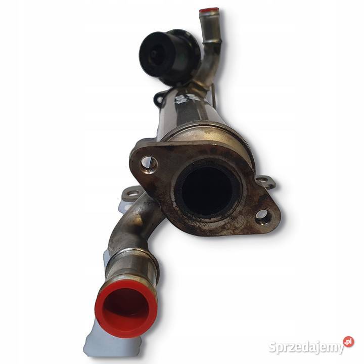 CHŁODNICA SPALIN VW Passat B6 Audi A3 8P 20 TDI Chełm