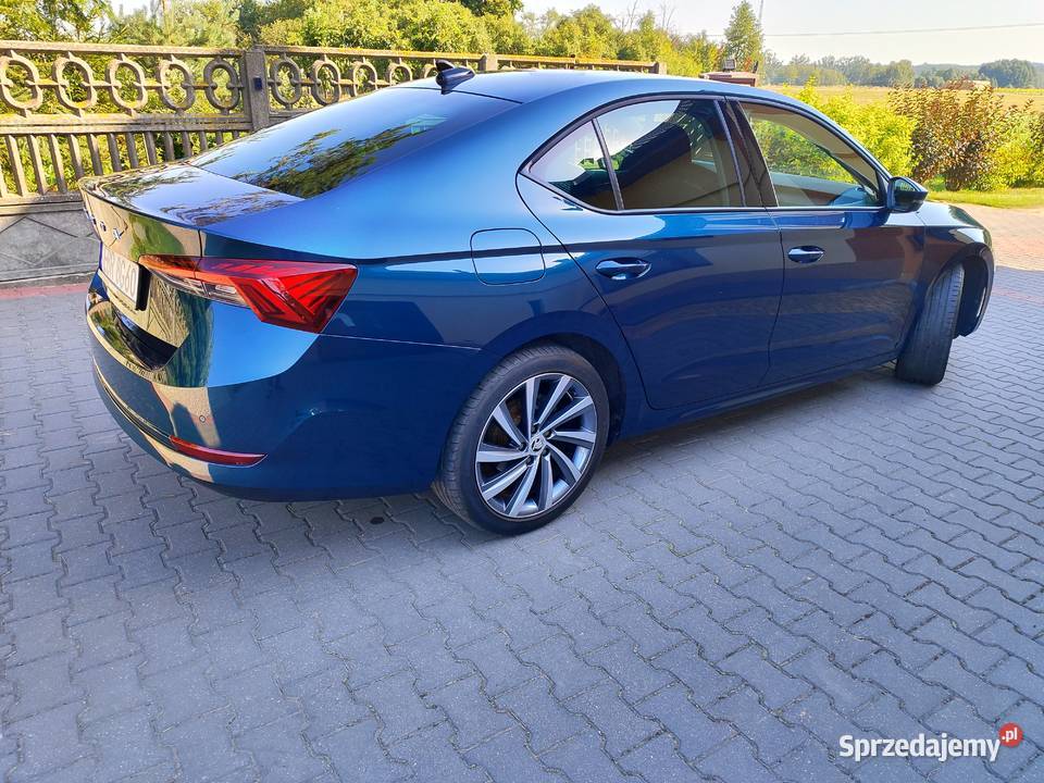 Skoda Octavia IV polski salon Octavia Kołacin