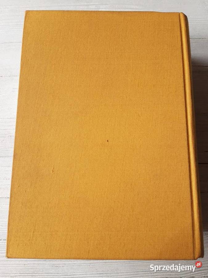 Podręczny słownik polsko angielski Wiedza Bielsko-Biała