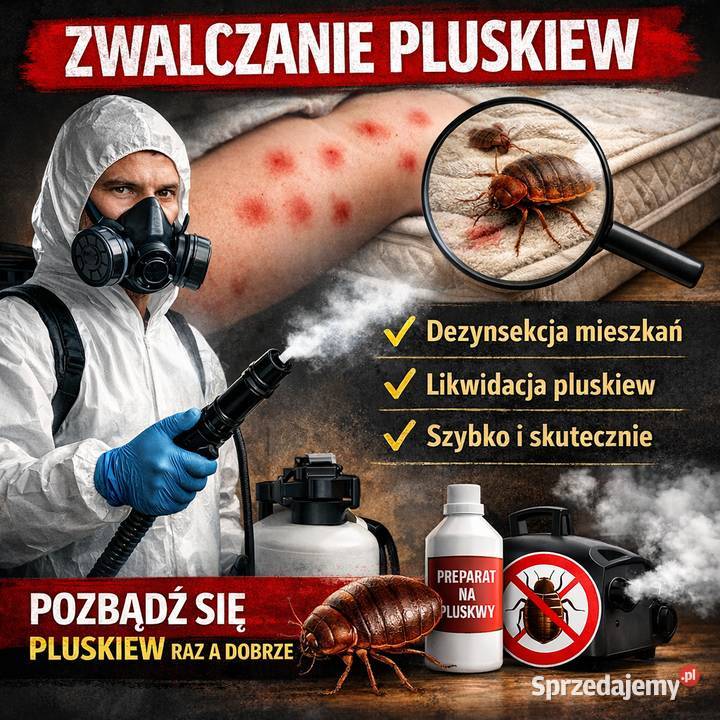 Odpluskwianie PLUSKWY Dezynsekcja Ozonowanie Jastrzębie-Zdrój