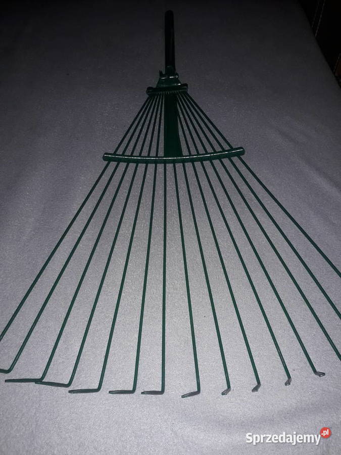 Grabki pazury mazowieckie