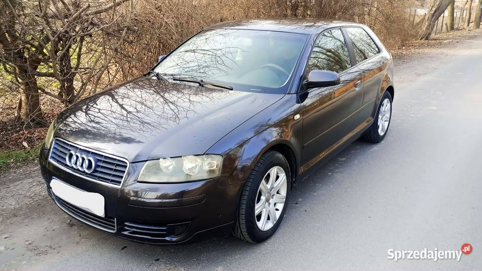 Audi A3 19 TDI 105 nieuszkodzony łódzkie Kiernozia sprzedam