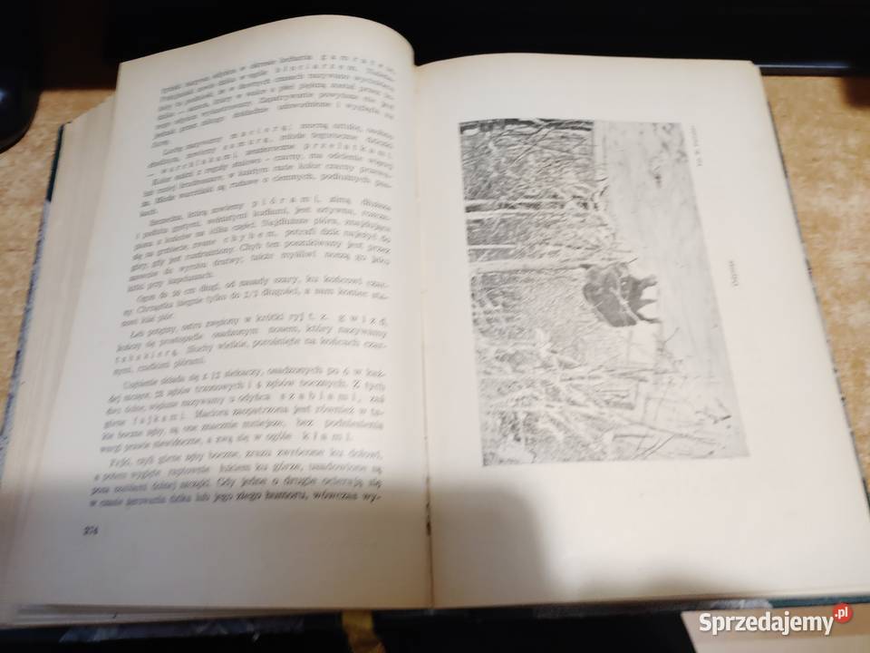 ŁOWIECTWO Podręcznik leśników i myśliwych Iwno