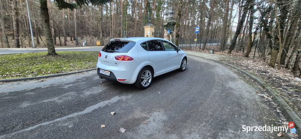 SEAT LEON FR 20 TDI 140 2012 ASR (kontrola trakcji) Chodzież